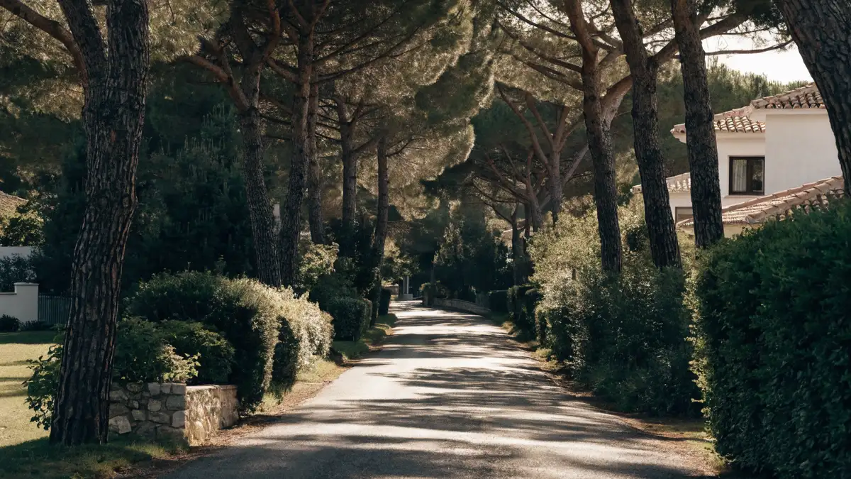 Wooded edge of La Canada in Paterna