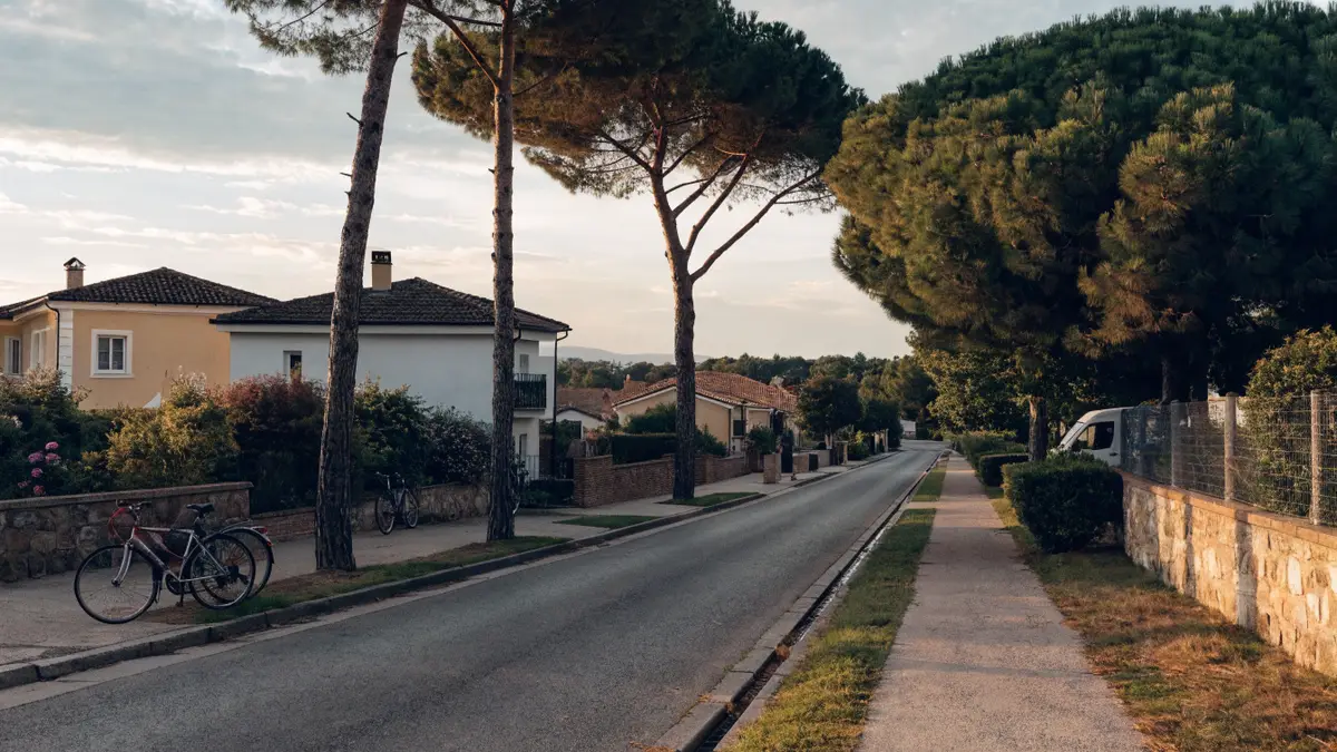 Tree-lined street in La Eliana