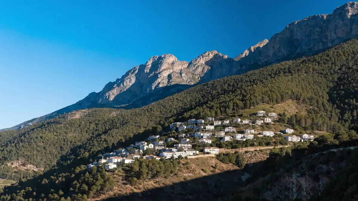 Sierra Calderona forest above Naquera
