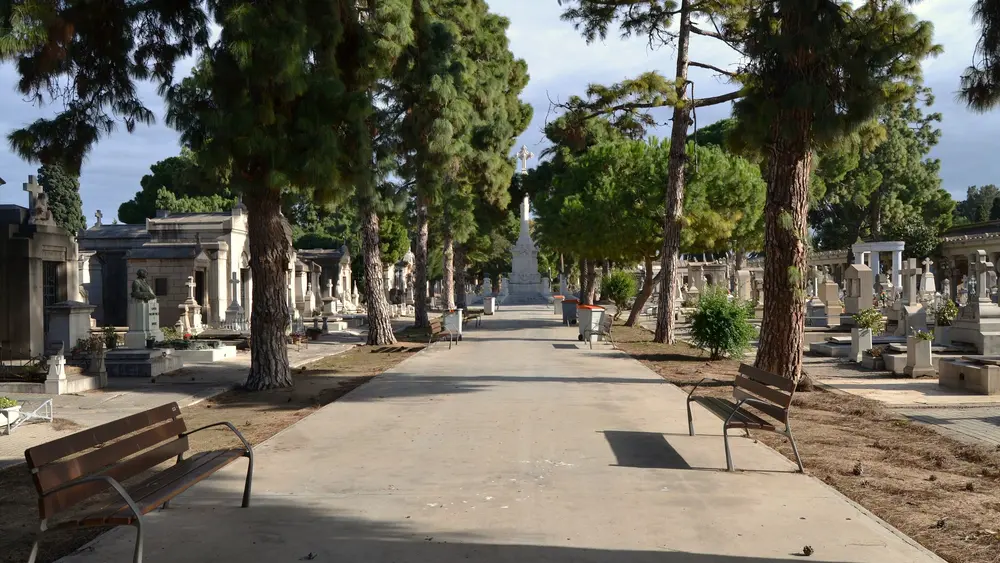 A paved avenue lined with tall pines in the Cementeri General de València, family tombs and benches on either side
