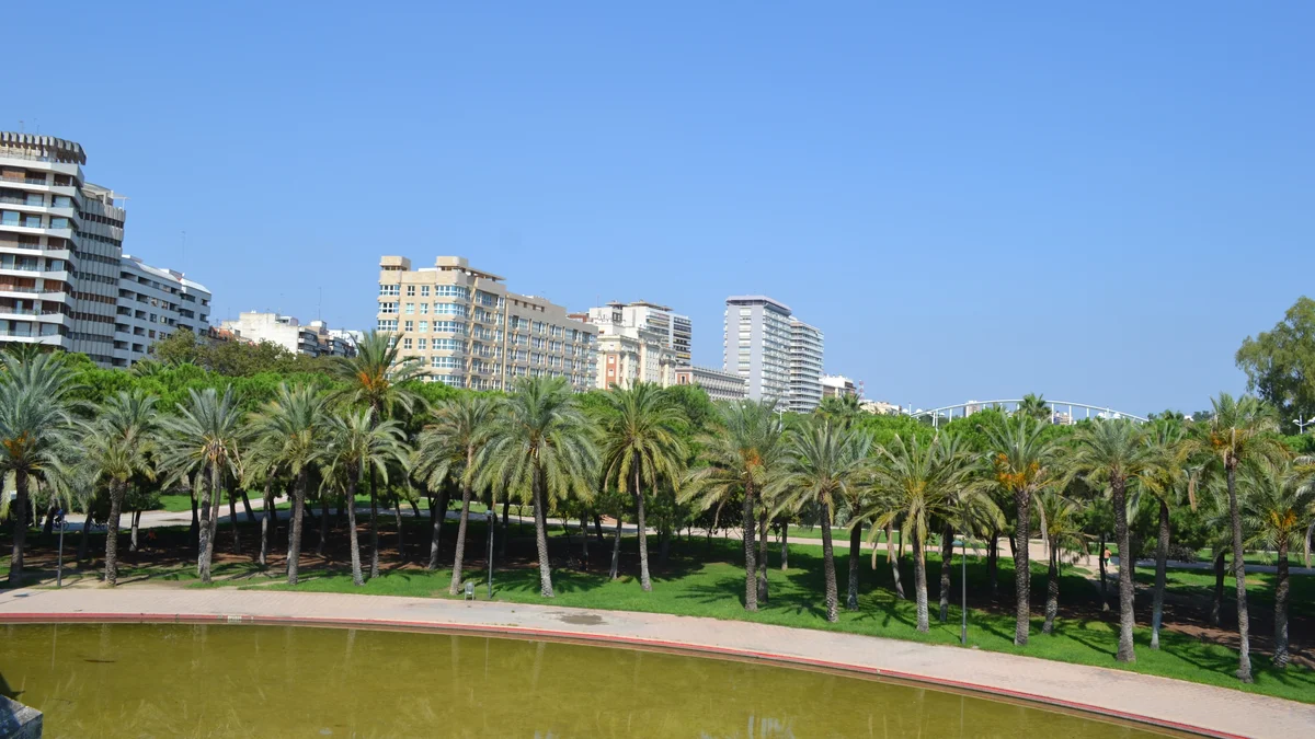 Une large allée plane des jardins du Turia à Valencia, bordée de palmiers, avec la skyline plate de la ville en arrière-plan