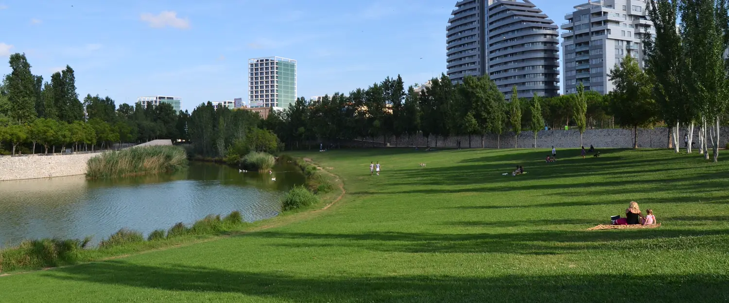 The open lawn and boating lake at Parc de Capçalera in Campanar, with the curved residential towers of Valencia behind