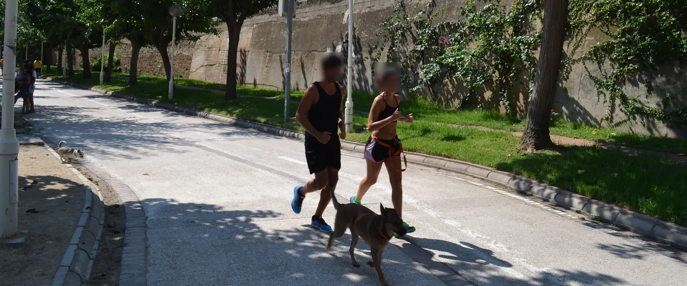 Two runners and their dog on a path through the Turia riverbed gardens in Valencia, below the old stone embankment wall