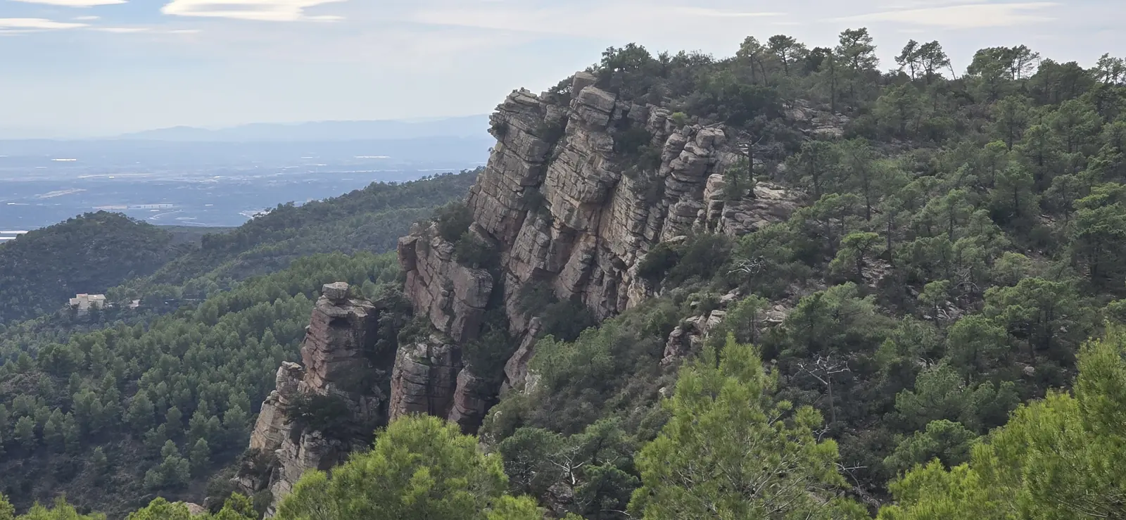 Red sandstone cliffs and rock towers among pines on the flank of the Garbí, with the coastal plain below