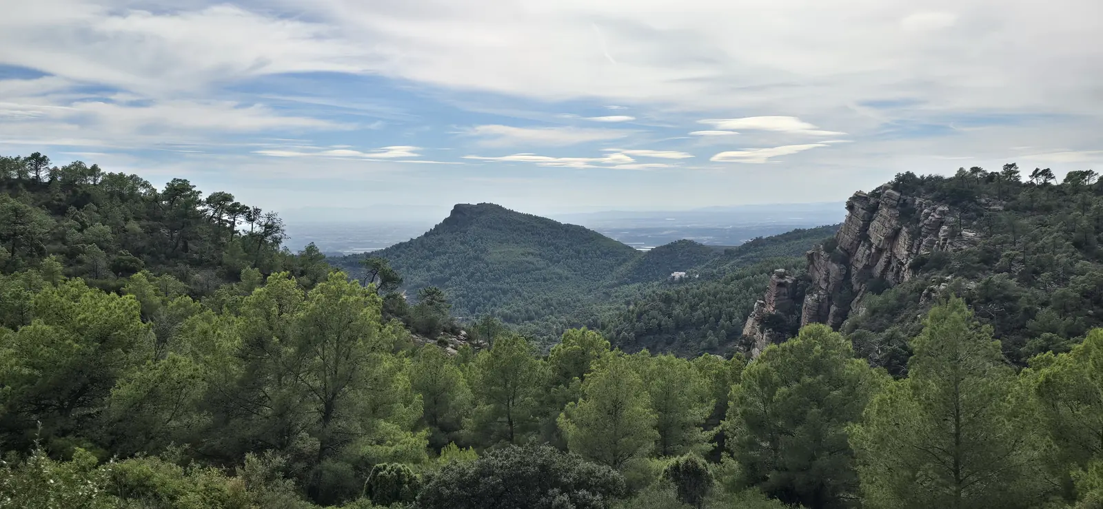 Pine forest falling away to a flat-topped mountain, the Mola de Segart, with sandstone cliffs on the right and the coastal plain in the distance