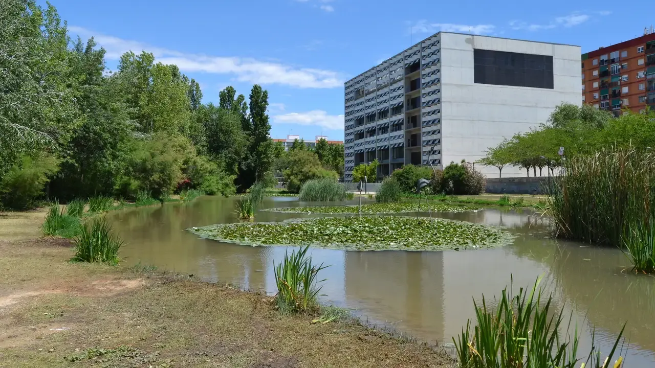 El edificio de hormigón gris con celosías de La Rambleta, visto al otro lado de un estanque con nenúfares y juncos en el Parc de la Rambleta