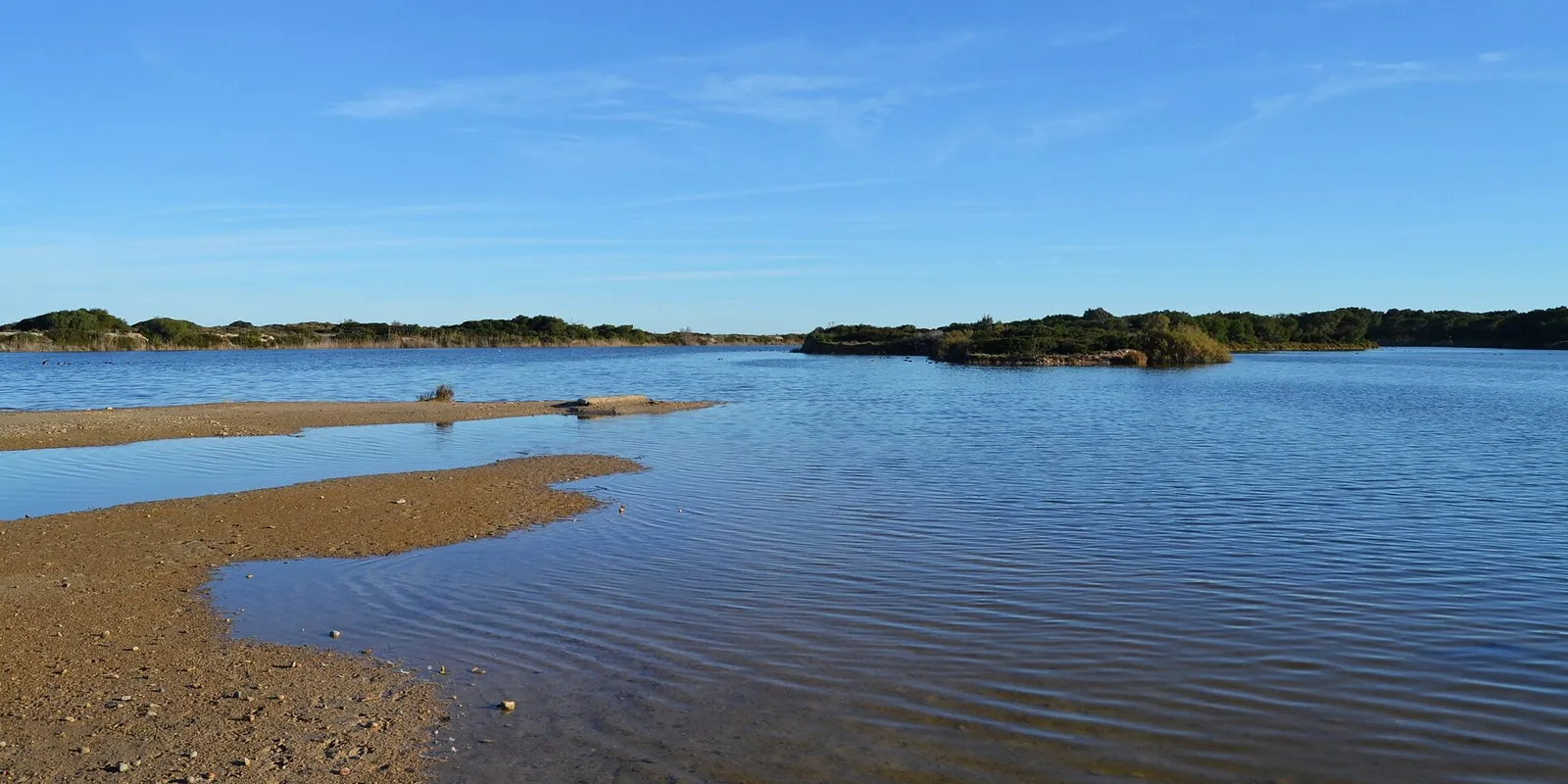 Kalm water van de lagune Estany del Pujol bij El Saler, met een zandoever en lage beboste duinen erachter