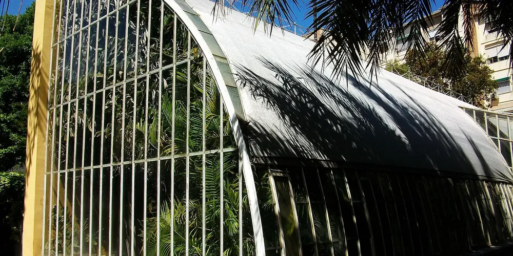 De gebogen kas van ijzer en glas, het Hivernacle de la Bassa, onder palmbladeren in de Jardí Botànic de València