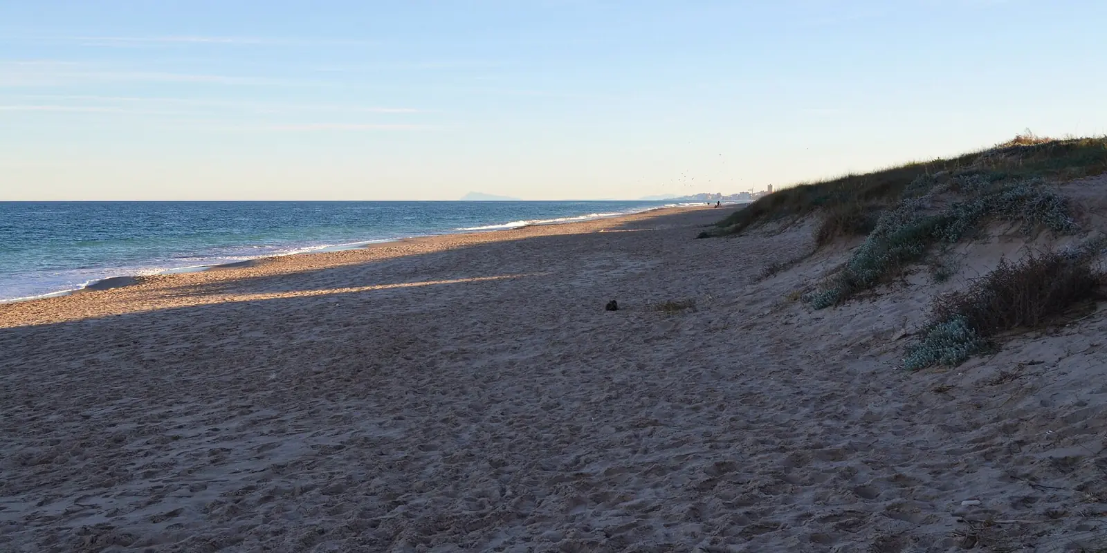 Breed, leeg strand van de Playa de la Devesa met een begroeide duin rechts en de zee links