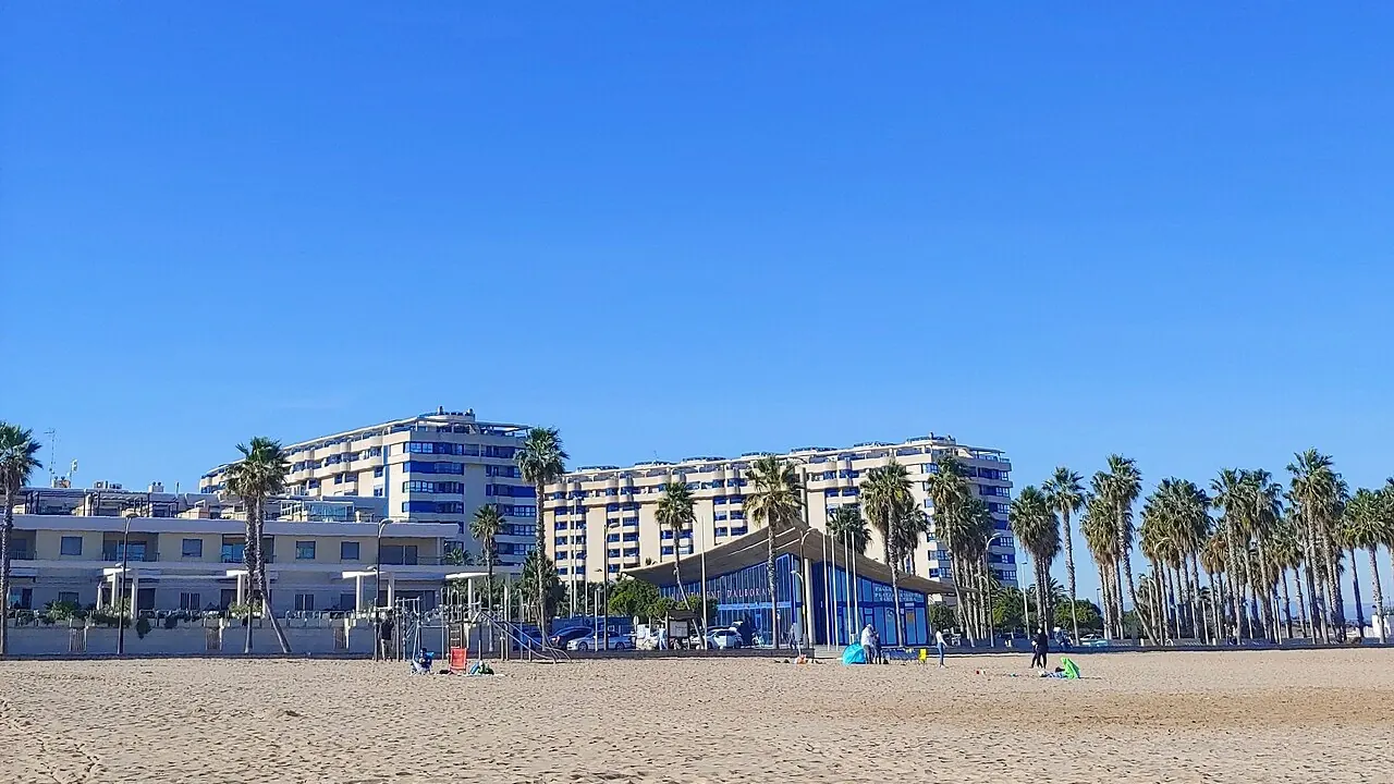 The wide sandy beach at La Patacona in Alboraya, with palm trees and apartment blocks set back behind the sand.