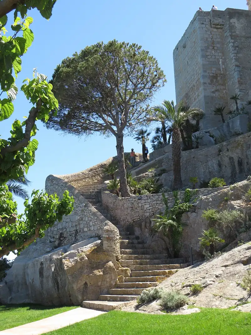 Un escalier de pierre qui monte entre jardins, un pin et des palmiers vers la tour carrée du château de Peñíscola