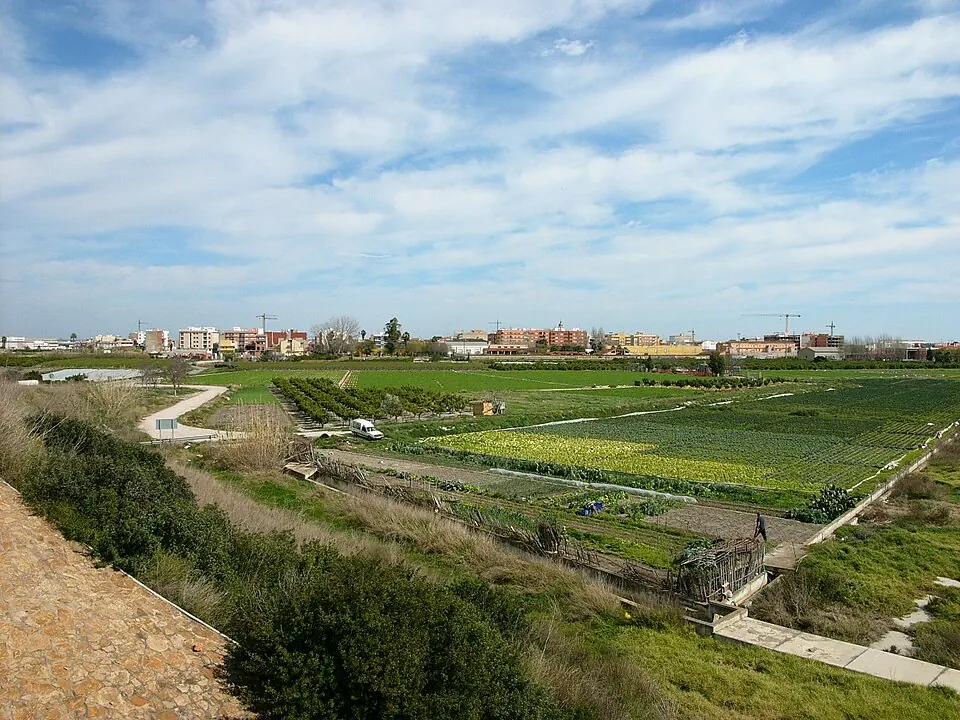 Potagers et terres agricoles en lisière de Sollana, dans la province de Valencia, avec la ligne d'horizon du village derrière et un agriculteur au travail dans les champs
