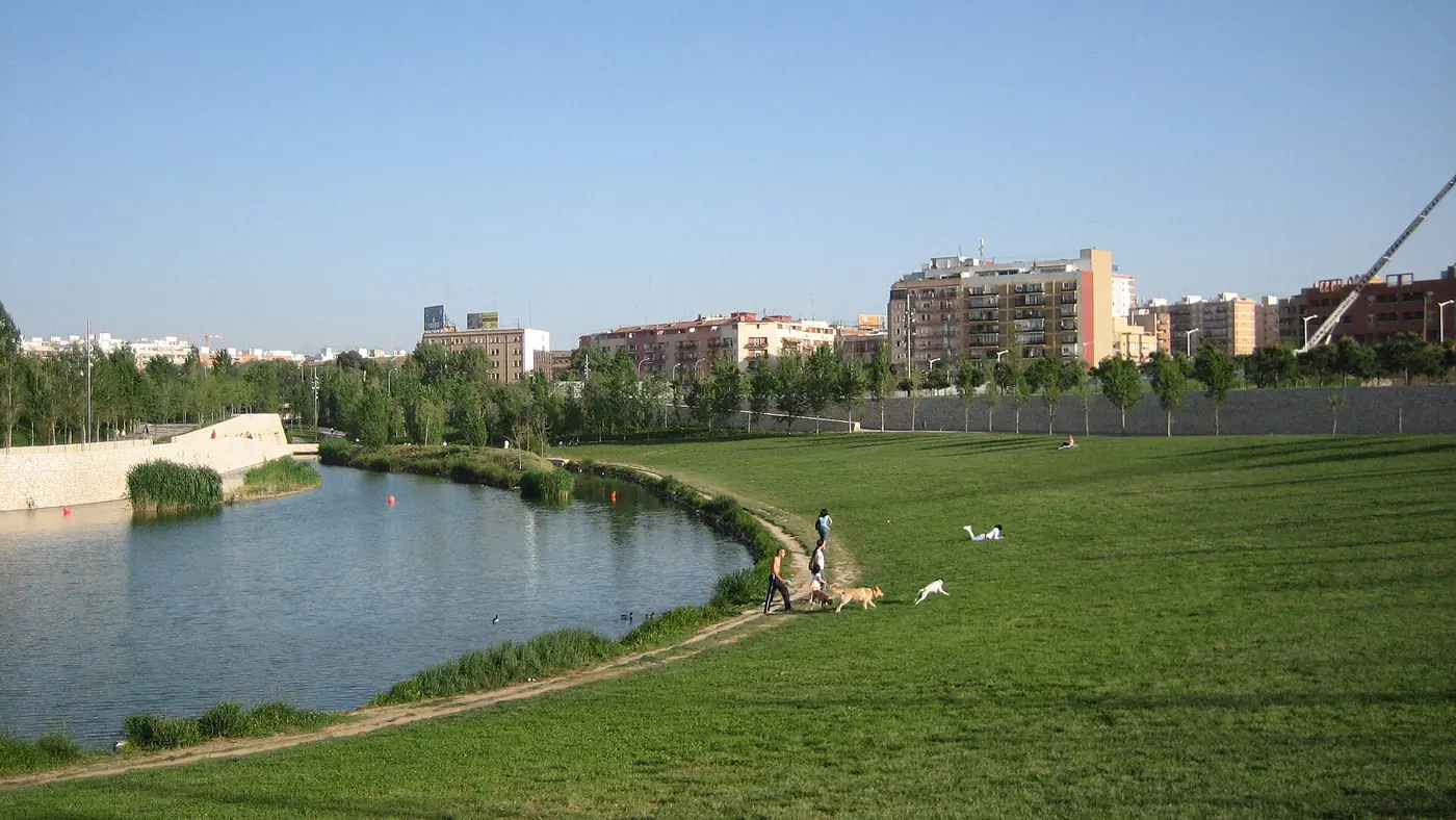 Een brede grashelling langs het meer van het Parque de Cabecera in Valencia, met hondenuitlaters en flats in de verte