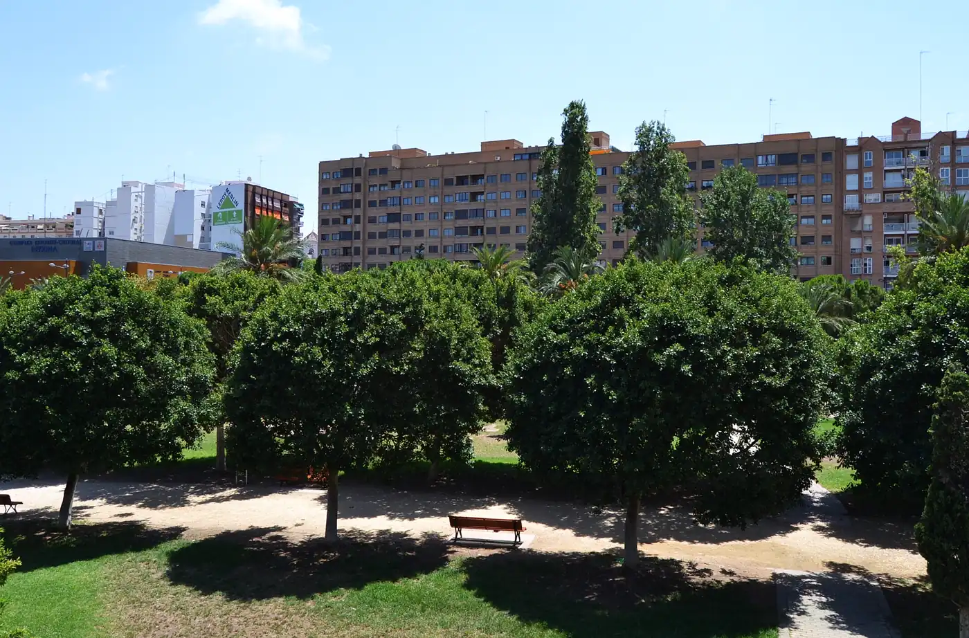 Arbres et pelouses des jardins du Turia, l'ancien lit du fleuve au pied des immeubles de Valencia