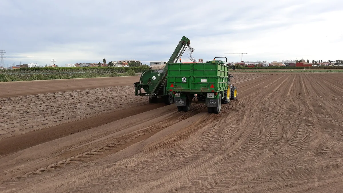 Un tracteur récoltant des tubercules de chufa dans un champ sableux à Almàssera, avec Valencia à l'horizon