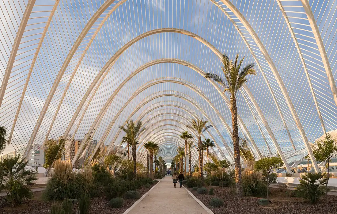 The arched walkway of L'Umbracle with palms growing beneath its 18-metre arches