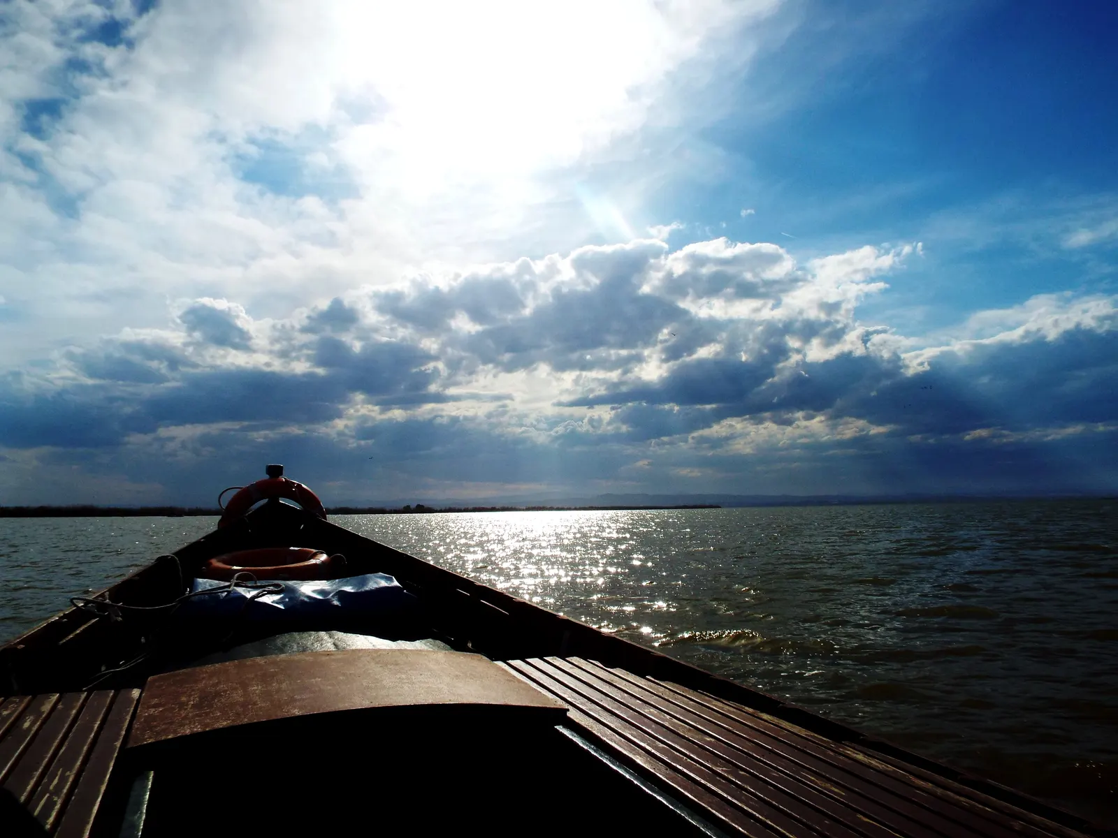 A traditional albuferenc sailing boat with its raked mast crossing the Albufera lagoon past a bank of reeds