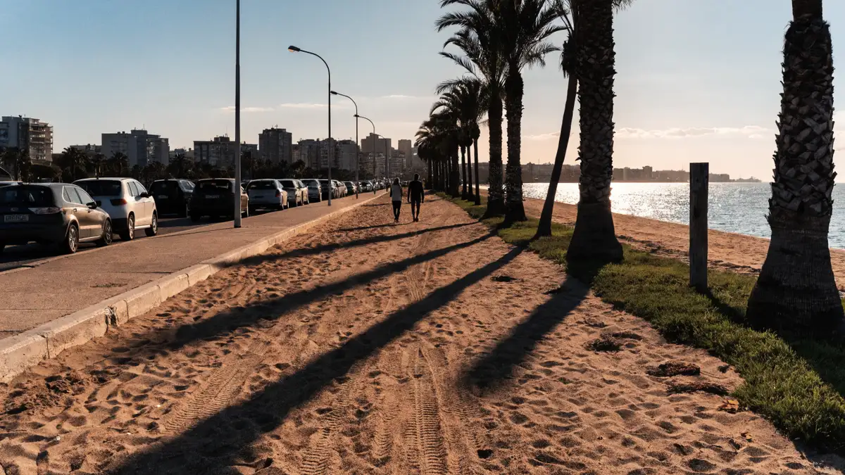 Palm lined beach promenade in Valencia at evening