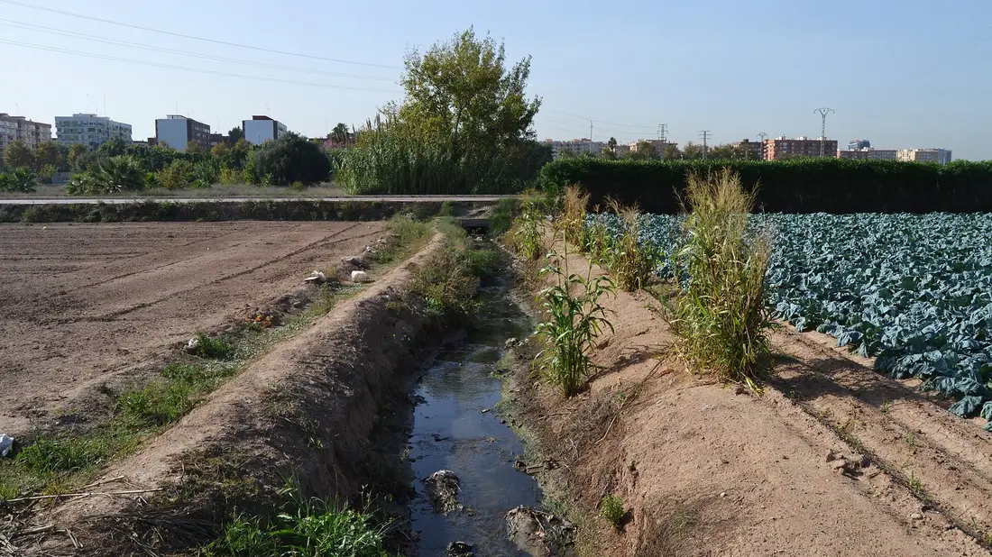 Un fossé d'irrigation entre des champs labourés et des choux le long du Camí de Vera à Benimaclet, Valencia, avec des immeubles à l'horizon
