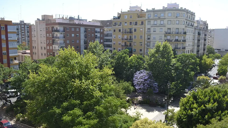 Les arbres de la Plaça del Xúquer vus d'en haut, avec les immeubles autour de la place, à La Vega Baixa, Valencia