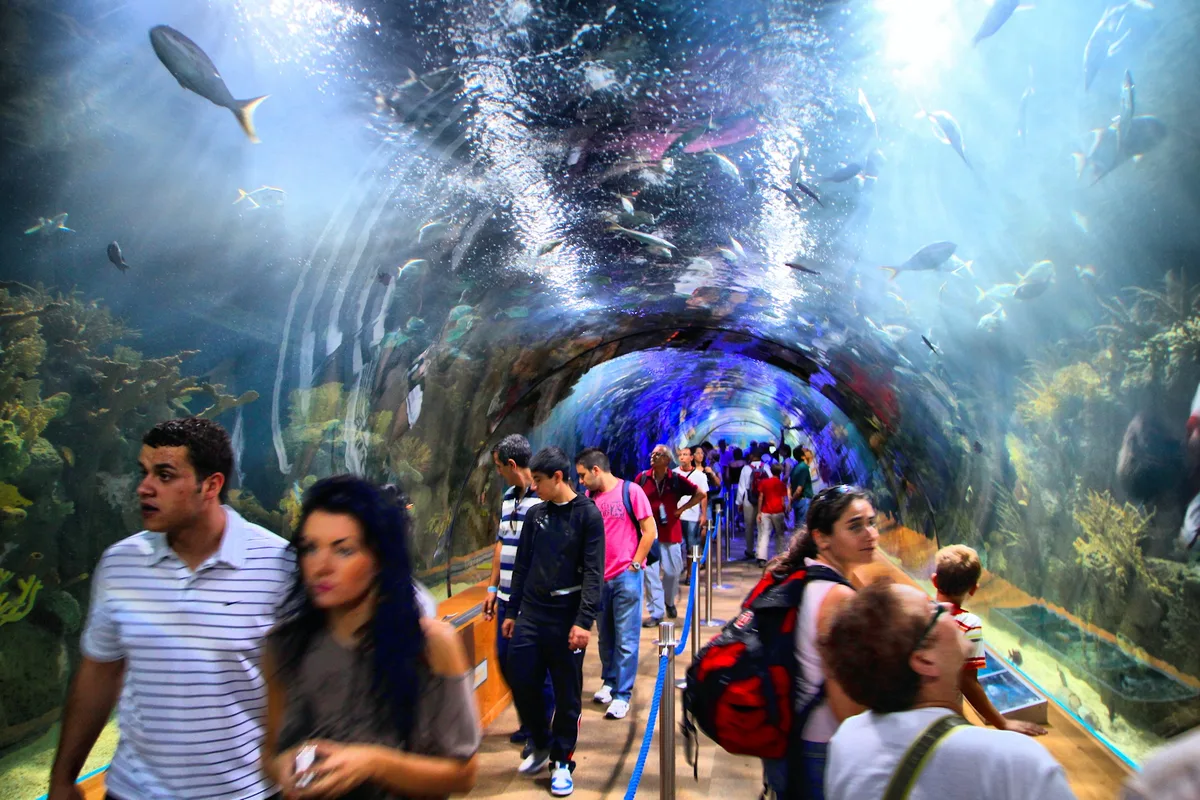 Bezoekers lopen door de 70 meter lange onderwatertunnel van Oceanografic, met vissen die boven hen zwemmen