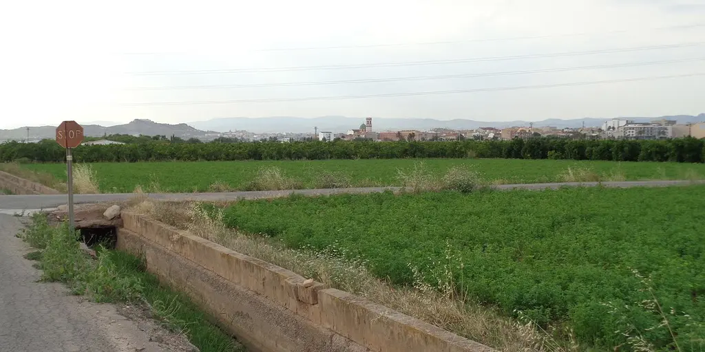 Irrigated fields of the horta at La Pobla de Vallbona