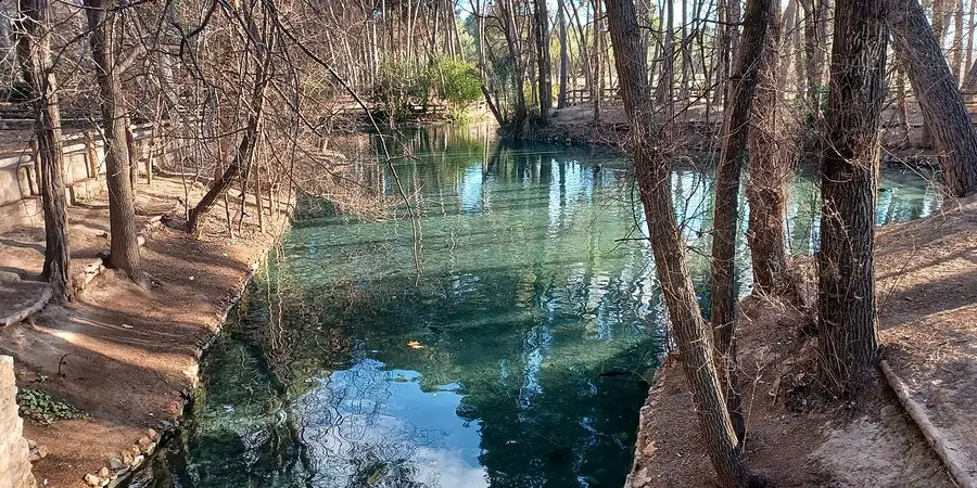 Clear water among the trees of the Parc Municipal Sant Vicent in Llíria