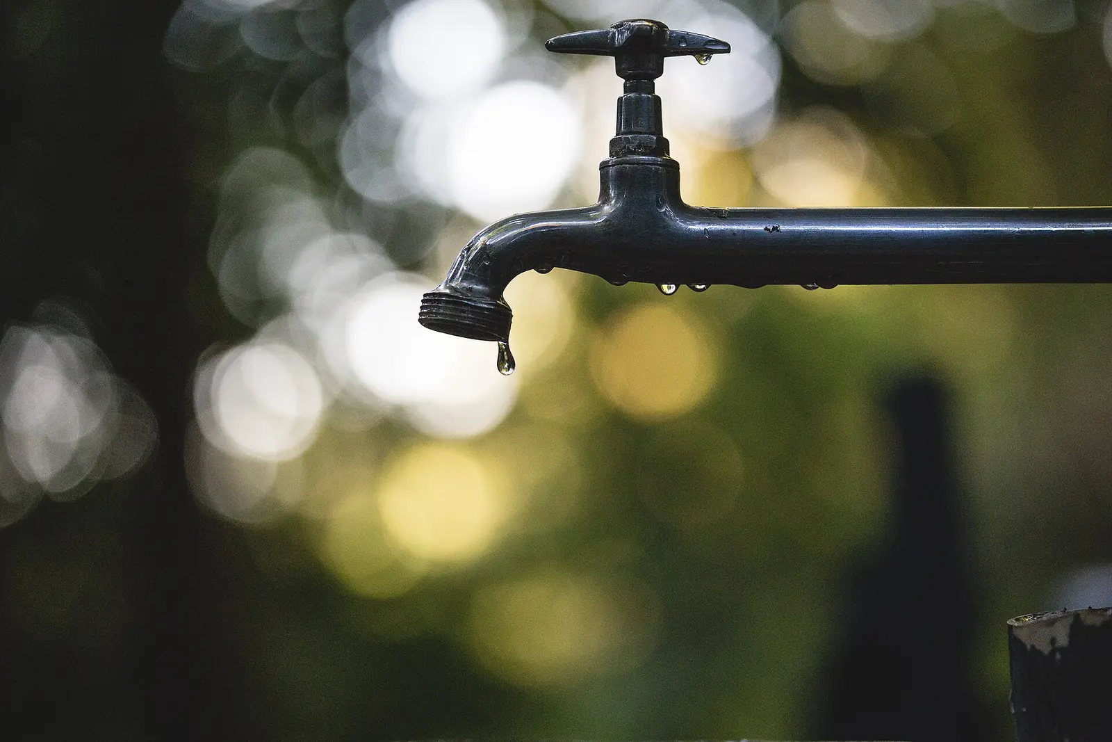 Water (Agua)